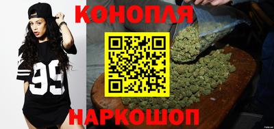 гидропоника Бийск
