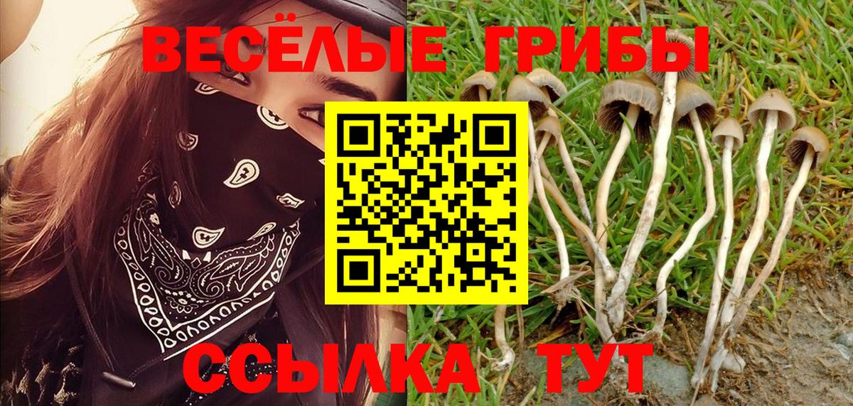 Галлюциногенные грибы мухоморы Асино