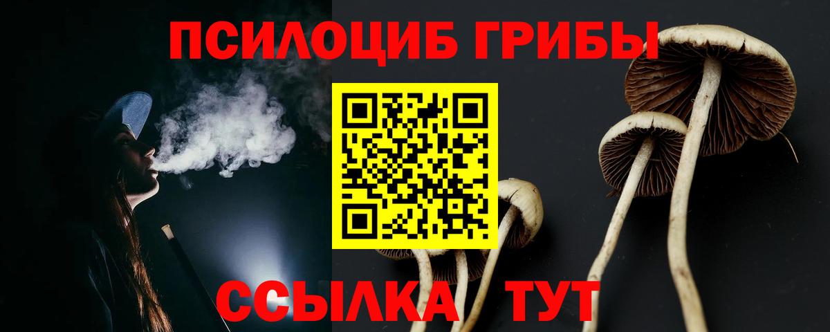 Галлюциногенные грибы GOLDEN TEACHER  Вход с VPN  Асино  Псилоцибиновые грибы мухоморы 